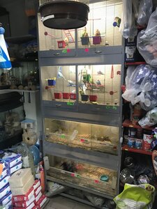 Зоомагазин Золота Рибка