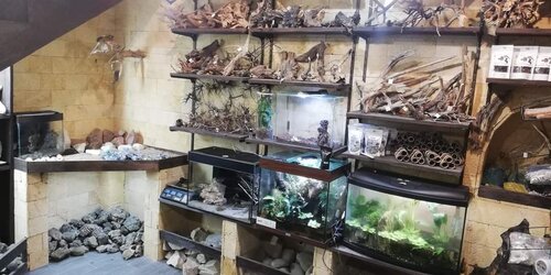 Zoo Хата