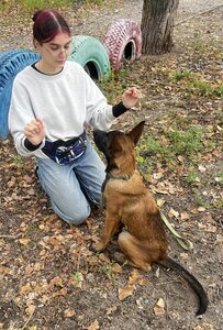 Запорізький клуб собаківництва ТСОУ
