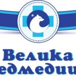 Велика Ведмедиця