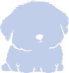 The PET грумінг