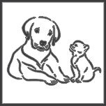 Зоомагазин Bark & Tail