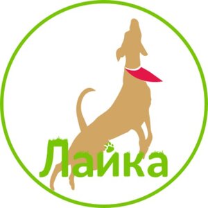Готельно-спортивний клуб «Лайка»