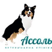 Ветеринарна клініка «Ассоль»