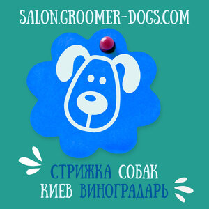 Стрижка собак - груминг в салоне на Виноградаре