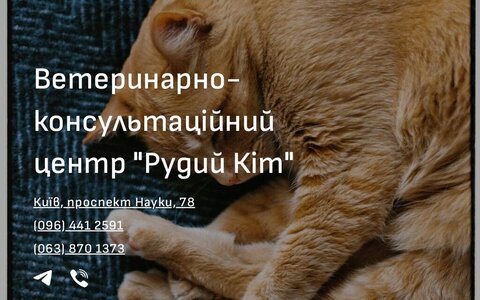 Рудий Кіт