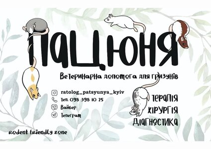 Ветеринарна допомога для гризунів «Пацюня»