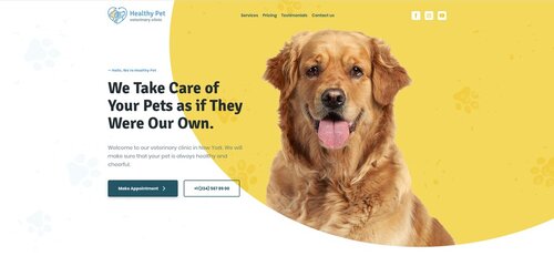 Ветеринарна допомога LizaVet Clinic