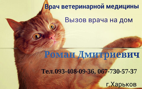 Ветеринар на дом