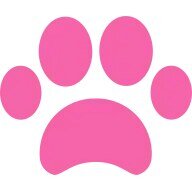 V.O.G DOG SALON