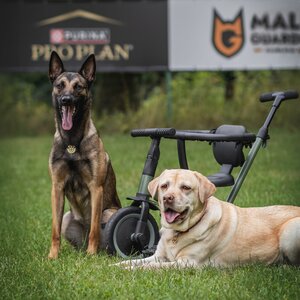 MaliGuards Club K9