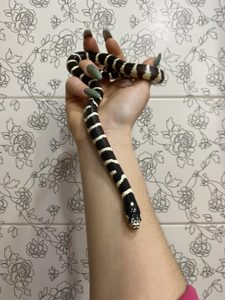 Чорно-біла змія, королівська молочна каліфорнійська змія 40-50 см