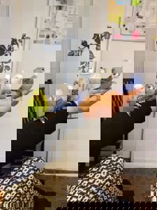 Волнистый попугай птенцы